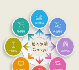 專業(yè)軟件開發(fā)與網(wǎng)絡(luò)推廣服務(wù)，價(jià)格透明，750元起